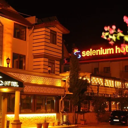 Hotel Selenium 3*